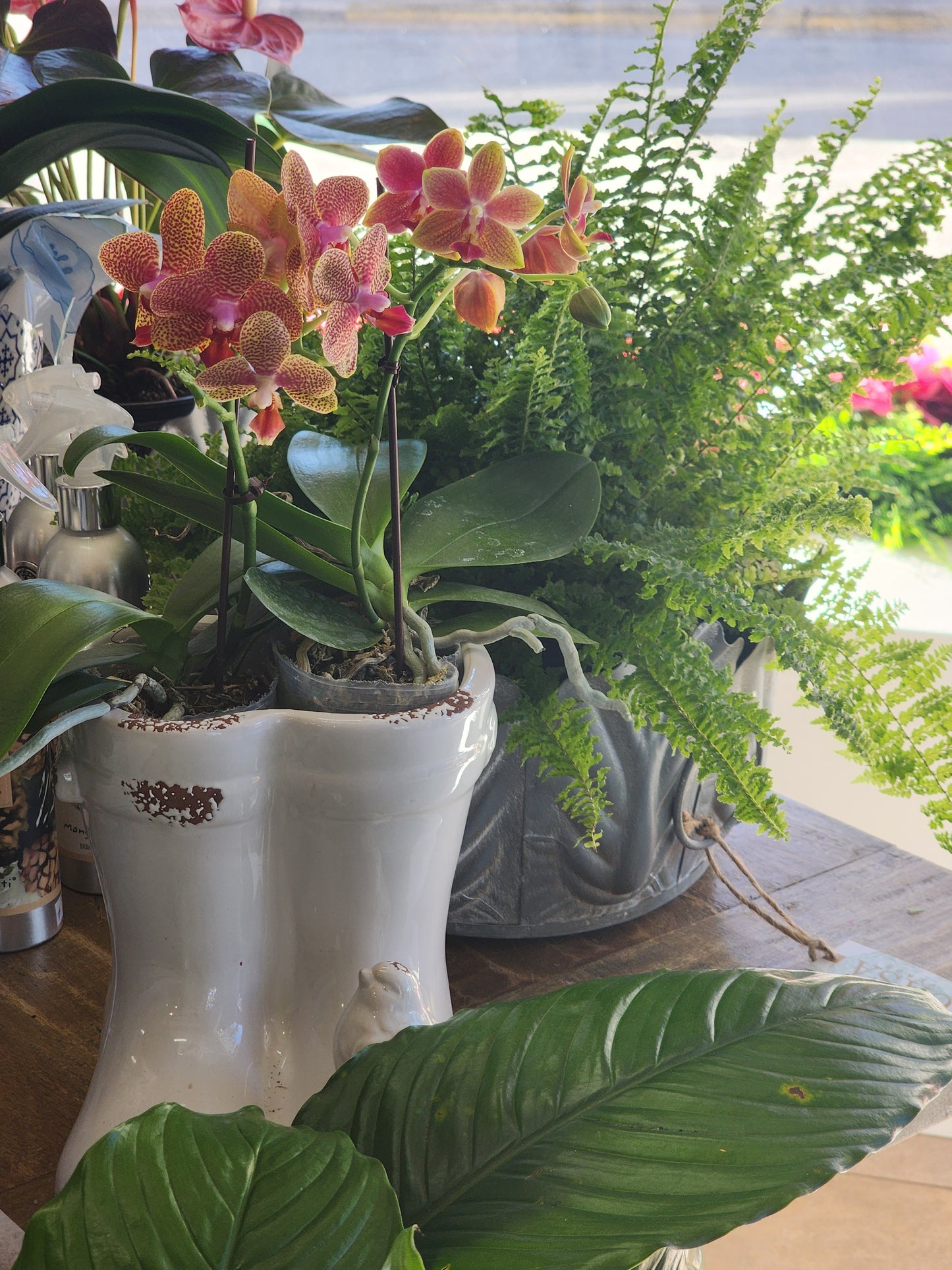 Flower and Plant Classes!