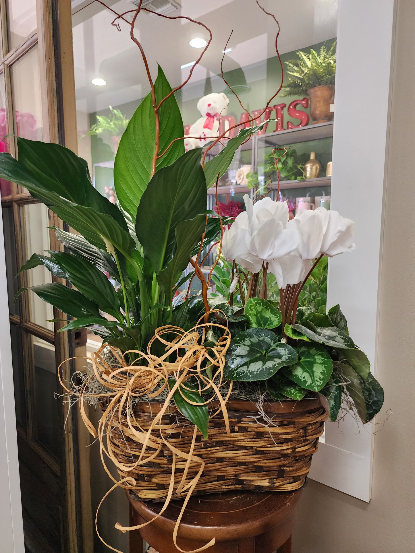 Everything Plants