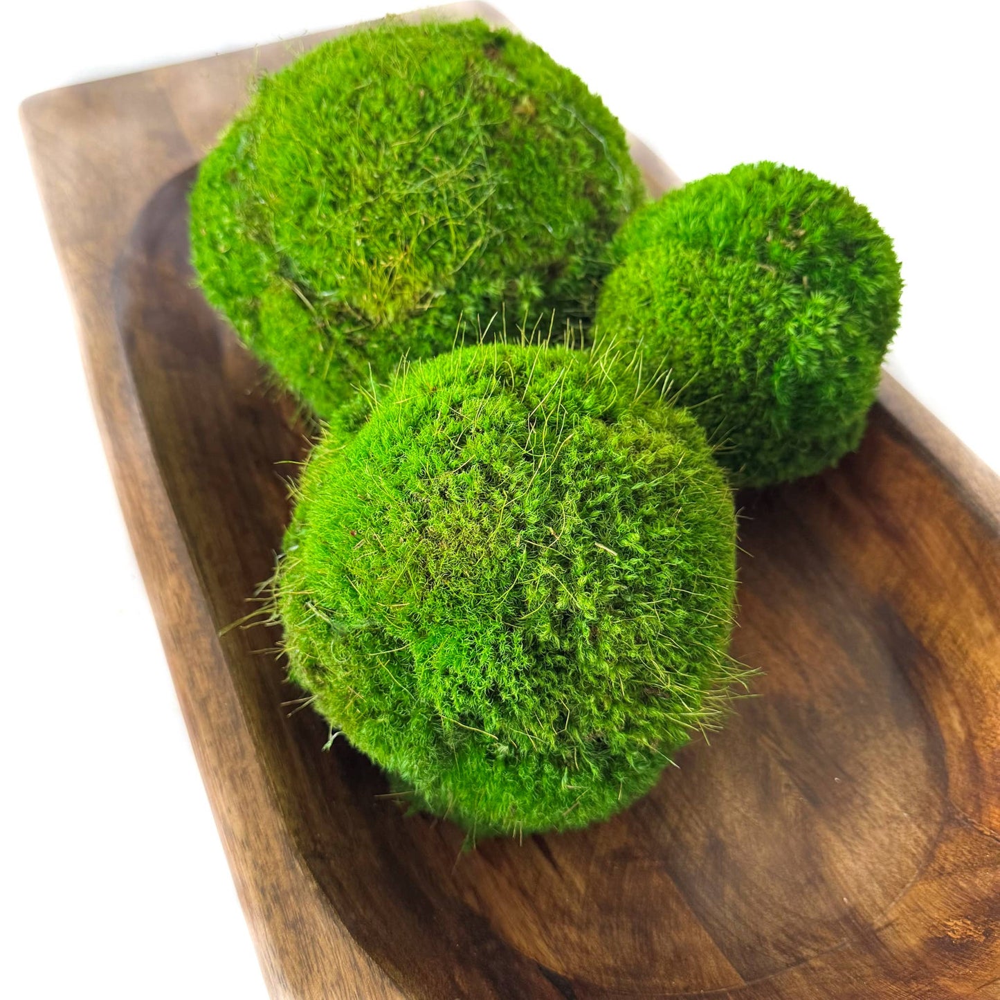 Preserved Moss Ball Set – 12pc Assortment | Display-Ready