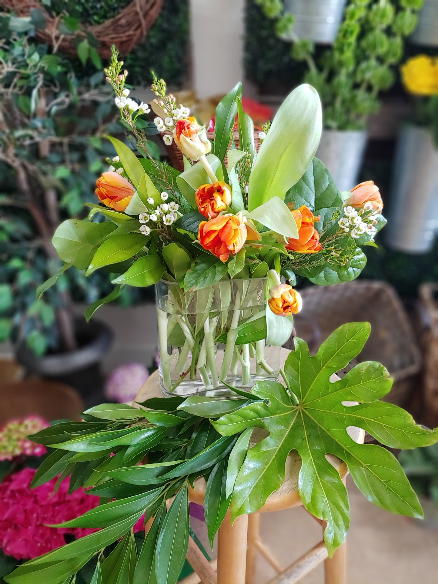 2 bunch Premium Tulips