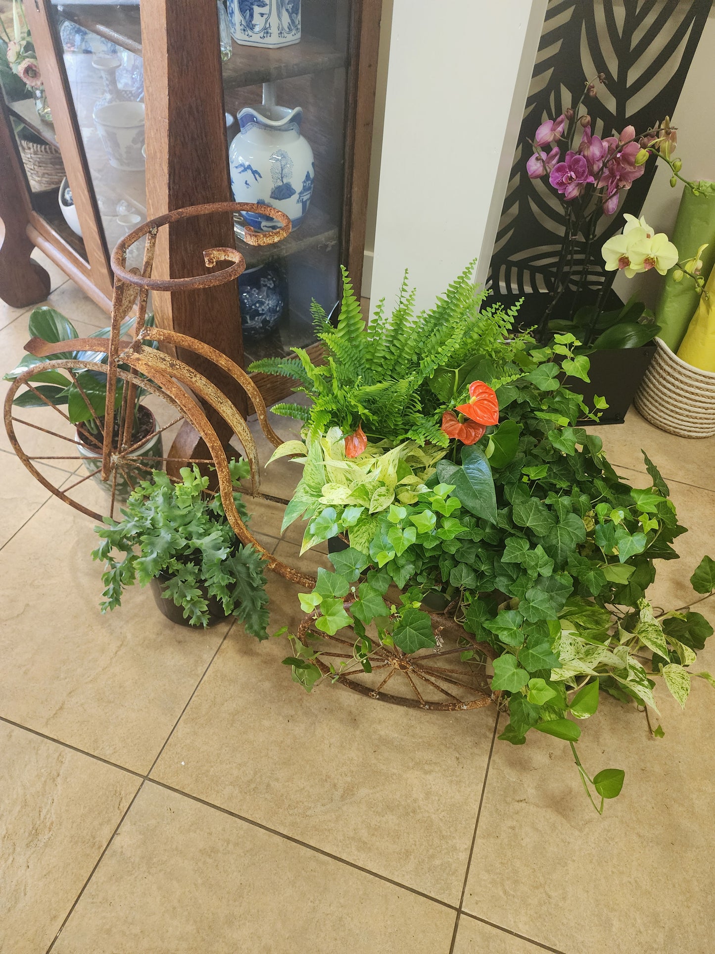 Everything Plants