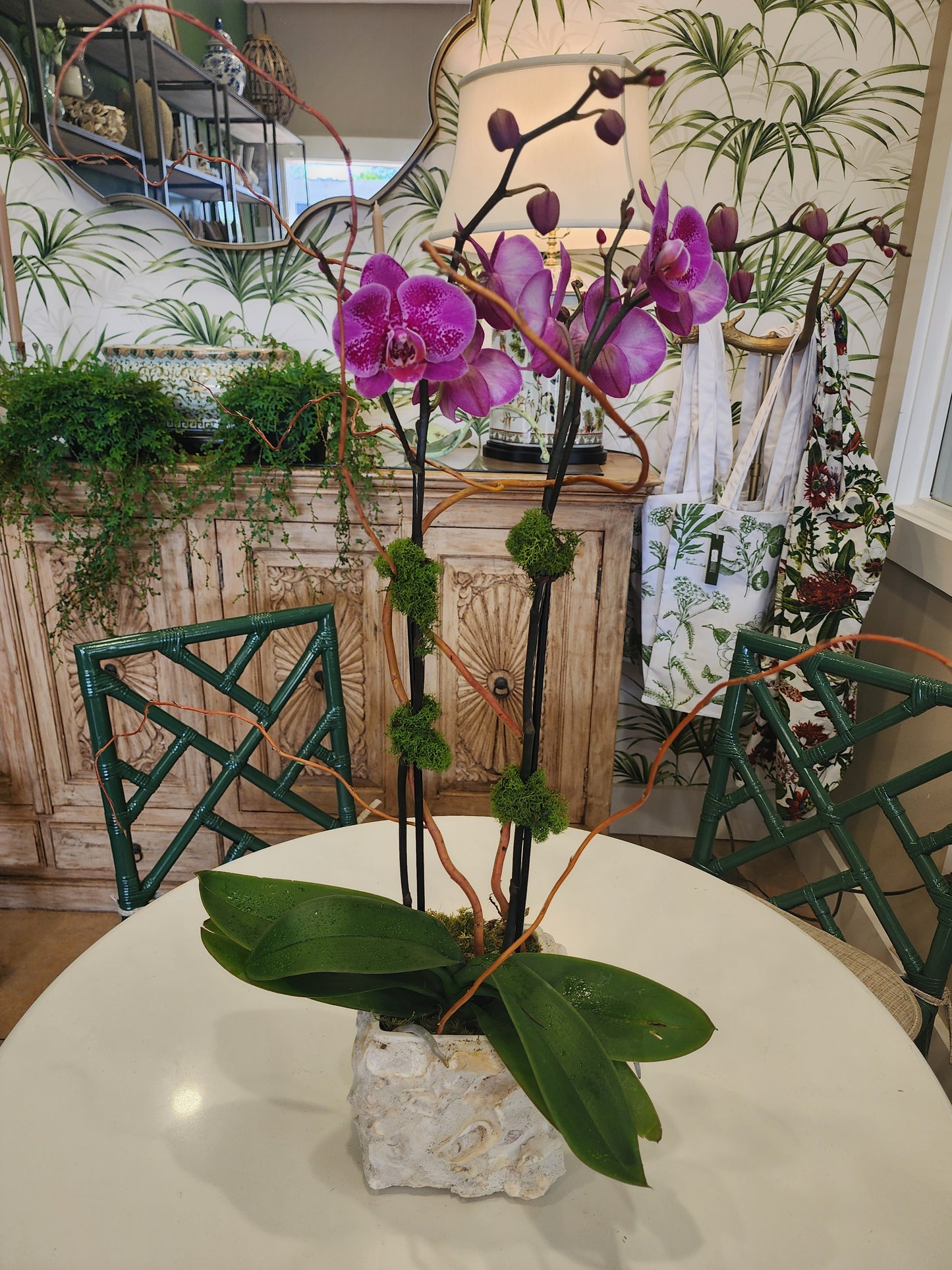 Orchid Gardens