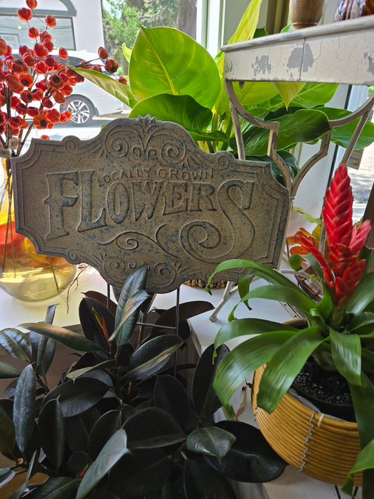 Everything Plants