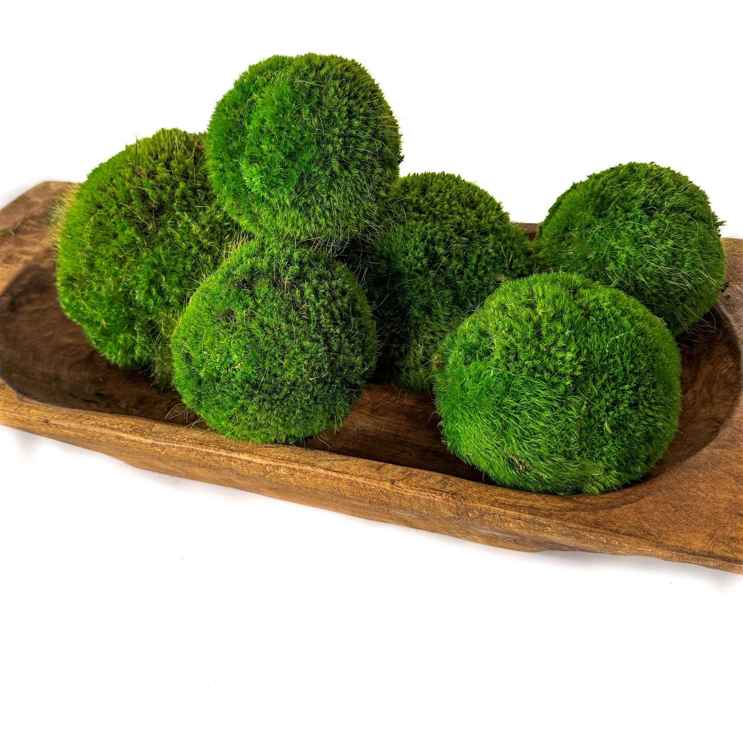 Preserved Moss Ball Set – 12pc Assortment | Display-Ready