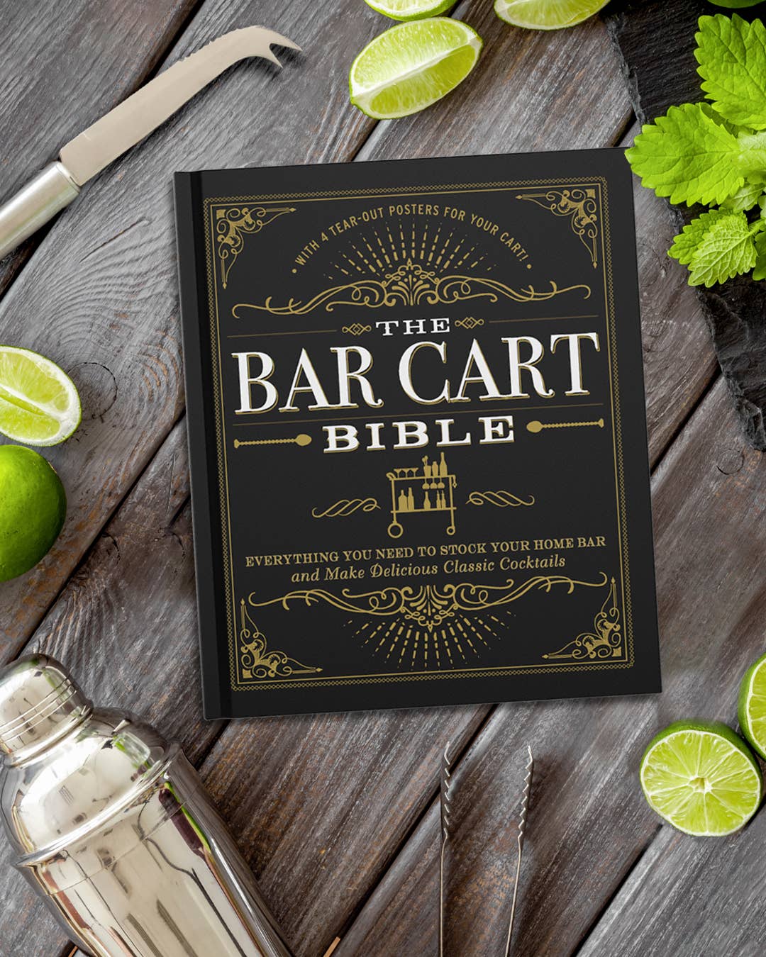 Bar Cart Bible by Adams Media