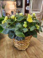 Load image into Gallery viewer, MOTHER&#39;S Day Garden Baskets