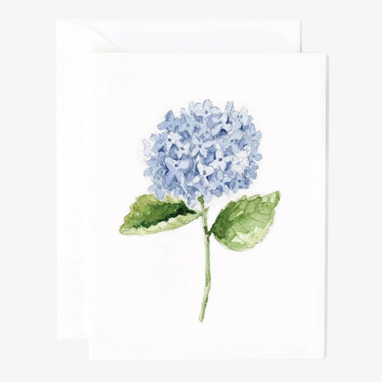Hydrangea stem notecard