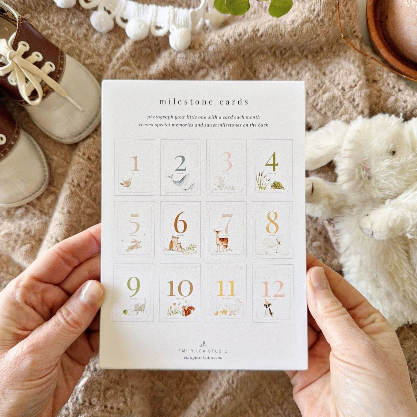 Baby milestone cards