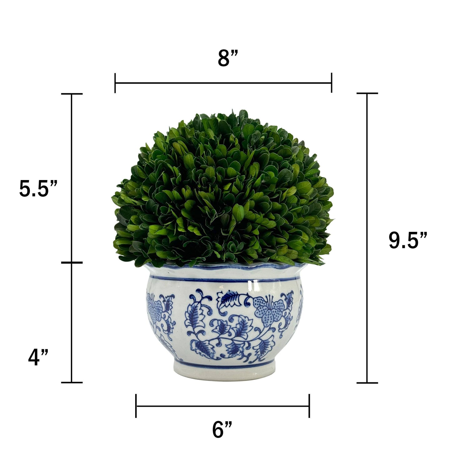 Boxwood Ball Topiary in Round Bulb Blue & White Ceramic Pot